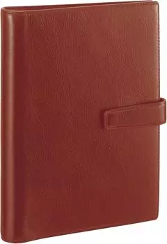 Ноутбук Reimei Fujii System Da Vinci Standard A5 Brown DSA3002C