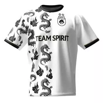 Новая классическая футболка Team Spirit, красивая игровая одежда, мужская популярная футболка для мальчиков с 3D-принтом, для фанатов, быстросохнущая, освежающая S