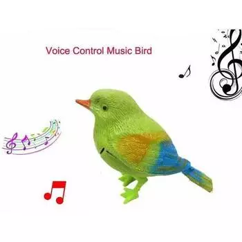 Новая креативная голосовая симуляция будет называться Cute Color Birds Birds Sj