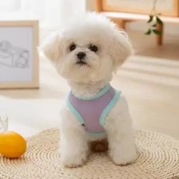 Новая летняя крутая одежда для собак, милый жилет для медведя, плюшевая маленькая собака, двухногая кошка, одежда для домашних животных, костюм для домашних животных XS (weight 1-1.5 kg)