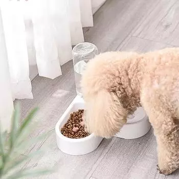 Новая миска для кошек 2-в-1, диспенсер для воды, автоматическое хранение воды, миска для еды для домашних собак, кошек, контейнер для еды с поилкой, поилка для домашних животных, поилка для домашних животных белый