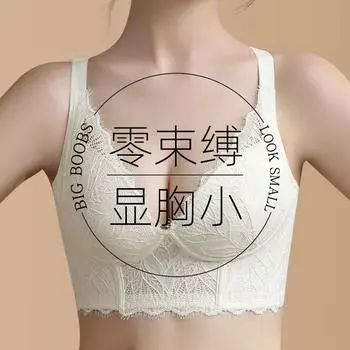 Новая модель не имеет стальной оправы, имеет большую грудь, маленькое и тонкое регулируемое кружевное нижнее белье и представляет собой пару женской коллекции. 34/75B