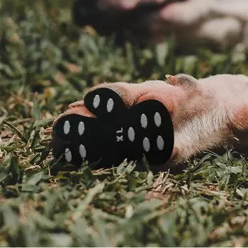 Новая накладка для сцепления для собак, предотвращающая скольжение на гладком полу(3 комплекта 12 накладок-XL)