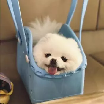 Новая сумка с полыми отверстиями, сумка-тоут, сумка для хранения, уличная ультралегкая сумка для домашних животных, сумка с отверстиями, пляжная сумка из ЭВА 1PC небесно-голубой