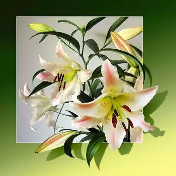 Новое поступление Алмазная картина Роза полная круглая дрель Алмазная вышивка распродажа цветок вышивка крестиком домашний декор ремесленный комплект 20x20CM