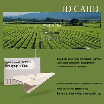 Новое поступление: Подвеска-ароматизатор для автомобиля в виде бумажного самолетика на зеркало заднего вида