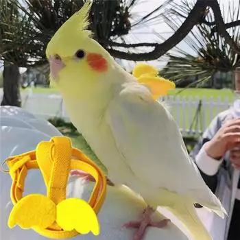 Новые любители приключений на природе, желающие найти идеальный вариант: Регулируемая конструкция для длительного использования. Исследуйте природу с синий