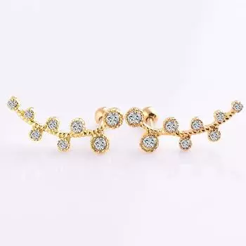 Новые модные европейские и американские серьги из нержавеющей стали с ветками убийцы, серьги для ногтей, ювелирные изделия