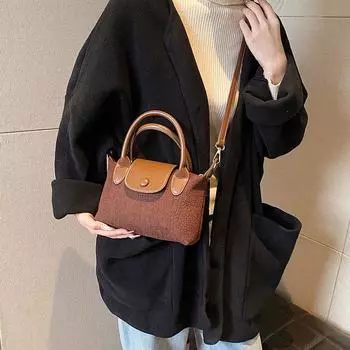 Новые осенние и зимние сумки для внешней торговли, женская ниша, текстурированная плюшевая сумка через плечо, модная и модная, ручная сумка с диагональным крестом, мех