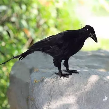 Новые пластиковые перья поддельные черные вороны реалистичный декор для сада реалистичная подвесная приманка для вороны черная поддельная птица Хэллоуин