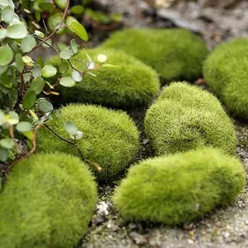 Новый 1 шт. миниатюрный каменный мох кукольный домик сад ремесло фея бонсай растительный декор S