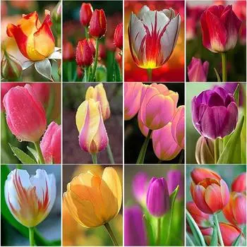 Новый 5D DIY алмазная живопись цветок Алмазная вышивка красная роза вышивка крестиком полная круглая дрель ремесло домашний декор ручной подарок Full Round 15x20CM