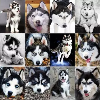 Новый 5D DIY алмазная живопись Хаски Алмазная вышивка животное вышивка крестиком полная квадратная круглая дрель ремесла домашний декор ручной подарок Full Round 15x20CM