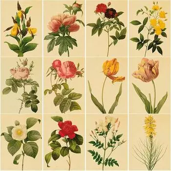 Новый 5D DIY алмазная живопись образец цветок Алмазная вышивка крестиком полная круглая дрель домашний декор ручной художественный подарок Full Round 15x20CM