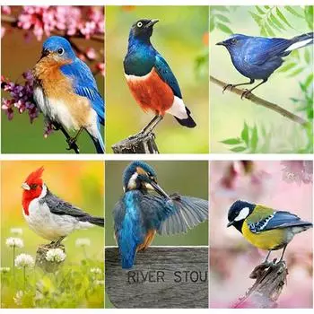 Новый 5D DIY алмазная живопись птица Алмазная вышивка животные вышивка крестиком полная круглая дрель ремесла домашний декор ручной подарок Full Round 15x20CM