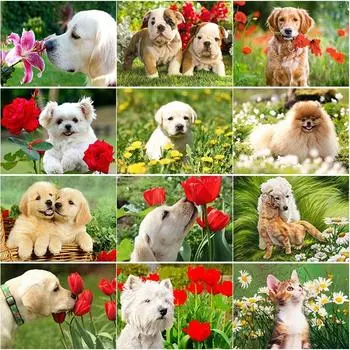 Новый 5D DIY алмазная живопись собака Алмазная вышивка животное вышивка крестиком полная квадратная круглая дрель ремесла домашний декор ручной художественный подарок Full Round 15x20CM