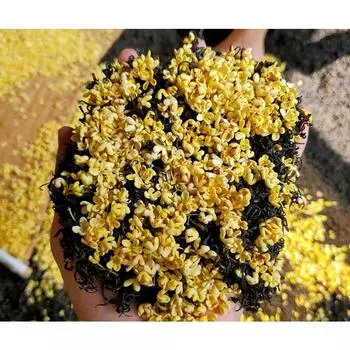 Новый чай 2023 Черный чай с османтусом JinJunMei DanGui Xiao Seed Черный чай 500г/1,1 фунта