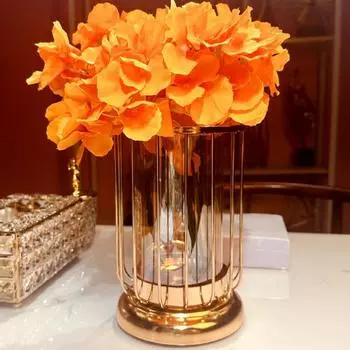 Новый креативный стиль, украшение в виде настольной вазы, цветочная композиция, стеклянная бутылка для гидропоники, железное художественное украшение для гостиной