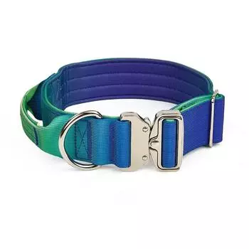 Новый ошейник для домашних животных шириной 5 мм, плавно меняющий цвет, регулируемый нейлоновый ошейник для собак, аксессуары для средних и крупных собак L-5mm47-66cm