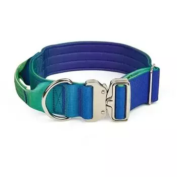 Новый ошейник для домашних животных шириной 5 мм, плавно меняющий цвет, регулируемый нейлоновый ошейник для собак, аксессуары для средних и крупных собак L-5mm47-66cm