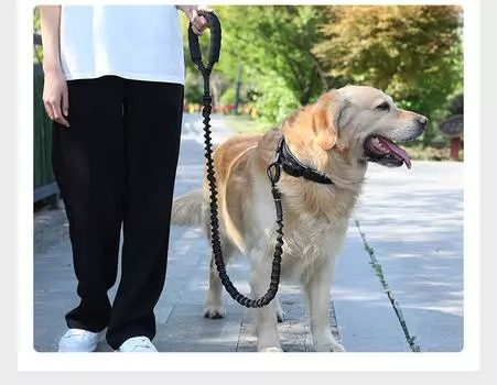 Новый выдвижной и эластичный поводок для собак среднего и большого размера, поводок для прогулок, удобная ручка, защита от потери и контроль над собакой чёрный
