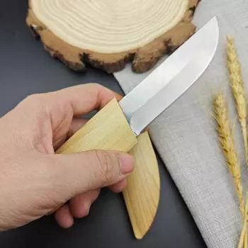 Нож для фруктов из нержавеющей стали, пластиковая ручка, нож для обвалки, кухонный нож для мяса, кухонный нож для овощей