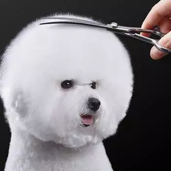 Ножницы для груминга Babion Pet EL, изгиб 20 градусов E2-701C 19см, корейский шампунь для домашних животных