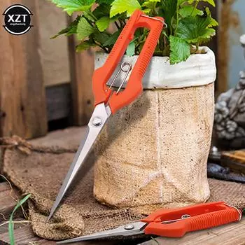 Ножницы для обрезки веток, ножницы из нержавеющей стали с нескользящей ручкой, острые садовые фруктовые деревья, очень острые садовые инструменты оранжевый