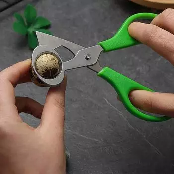 Ножницы для птичьих яиц, портативные, эффективные, стабильные, резак для перепелиных яиц, открывалка для голубя, кухонные ножницы для дома красный