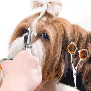Ножницы для стрижки кошек из нержавеющей стали, профессиональные ножницы для чистки шерсти собак оранжевый