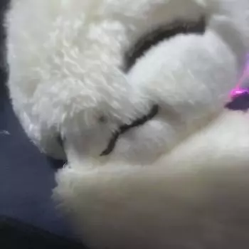 Нупшу Семнадцать Джошуа