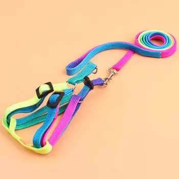 Nylon Pet Cat Dog Adjustable Colorful Leash Collar Belt