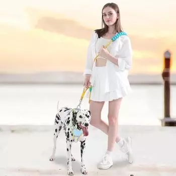 Nylon Pet Traction Soft Handle Rope Small Medium-sizedmulti-color Circular Tractionrope Comfort Handle Dog Leash Pet Product синий