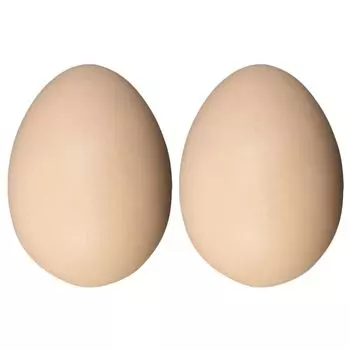OATIPHO 2 шт. Имитация пластиковых поддельных искусственных яиц, реквизит для яиц-гнездышек, пасхальное яйцо, охотничье яйцо, модель искусственного куриного яйца, реквизит для самостоятельной съемки и