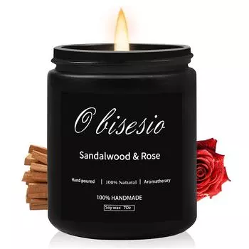 Obisesio Ароматическая свеча для мужчин Ароматерапевтическая свеча для дома Ароматизированная соевая свеча Набор корица яблоко ваниль тыква для мужчин свеча