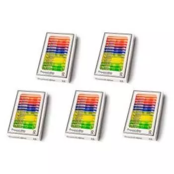 Образцы слайдов AU Home School Биологическая наука Развивающие игрушки Дети Подарок