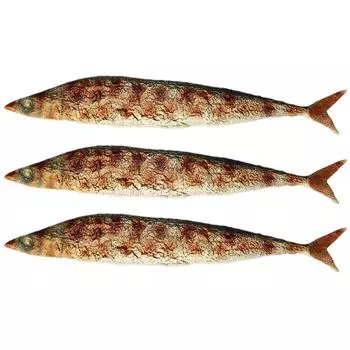 Образец печатной платы Sanma Food, осенняя жареная рыба, дисплей NH7723 (Набор 3)