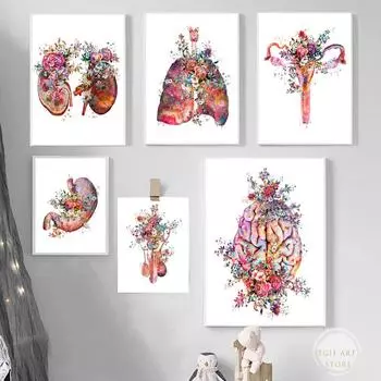 Образование тела Анатомия человека Картина на холсте Медицинская настенная живопись Скелет Орган Минималистский печать плакатов Картина Домашний декор без рамки 21*30cm
