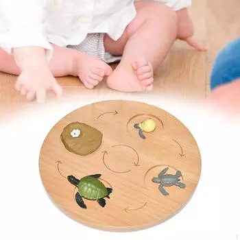 Образовательная настольная игра «Жизненный цикл» для дошкольников — Циклы роста животных и когнитивные навыки sea turtle