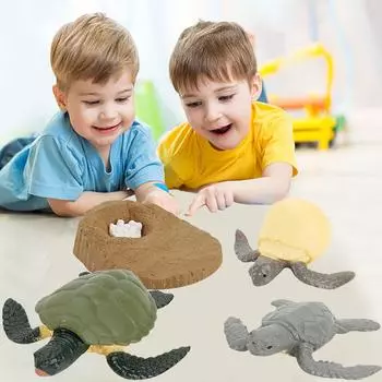 Образовательная симуляция Детская лучшая модель цикла роста Мультяшные игрушки