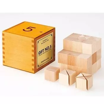 образовательные инструменты Пятый дар Фрёбель-кана (строительные блоки)