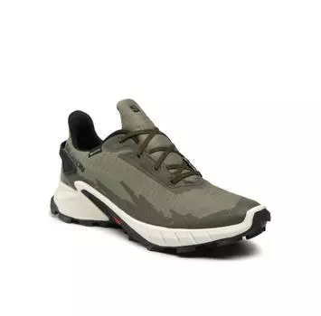 Обувь для бега Salomon Alphacross 4 Gtx GORE-TEX 417230 26 V0 Zielony
