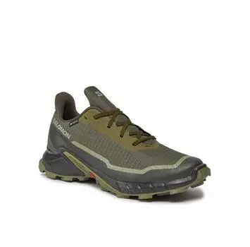Обувь для бега Salomon Alphacross 5 Gtx GORE-TEX 473103 29 W0 Zielony