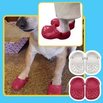 Обувь для домашних животных Дышащие сандалии для маленьких собак Яркие цветные дырявые туфли One Size винный