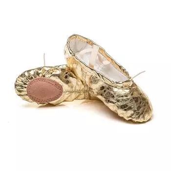 Обувь для народных танцев Обувь для сцены «кошачий коготь» Обувь для балета с мягкой подошвой Обувь для танцев с золотыми блестками 22 серебряный