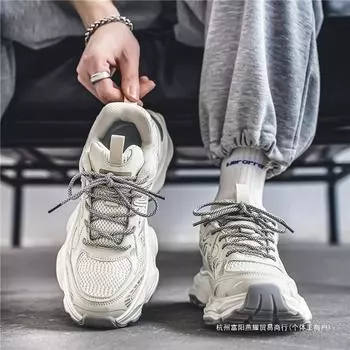 Обувь для папы в гонконгском стиле, мужская, осенняя, модная, молодежная, сетчатая, повседневная, универсальная, на толстой подошве, увеличивающая рост, спортивная обувь 39 бежевый