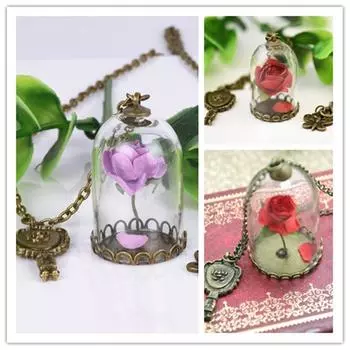 Очарованная вдохновенная роза в стеклянной бутылке, ожерелье с медным покрытием, бронзовое зеркало с куполом красный