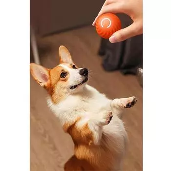 Очаровательная полосатая резиновая электрическая забавная гравитационная прыгающая 1 шт. прочная игрушка для домашних животных для упражнений интерактивная умная игрушка-компаньон для домашних животных перезаряжаемая Spare Shell--Blue