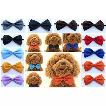 Очаровательные домашние животные, игрушка, галстук-бабочка, воротник, одежда жёлтый