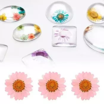 Очаровательные сушеные прессованные цветы, мини-маленькие, реалистичные